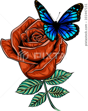 vector illustration of butterfly on red rose on white background 101447131