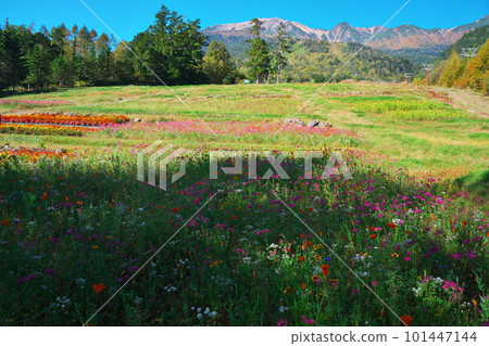 秋季三岳索道山麓站的花田 101447144