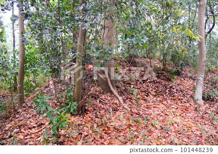 [National Historic Site] Samida Takarazuka Burial Mound 101448239