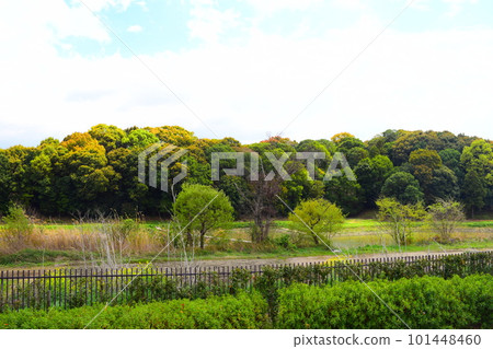 [Nationally Designated Special Historic Site] Suyama Burial Mound 101448460