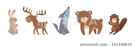 Woodland Animals with Bunny, Elk, Wolf, Bear and Beaver Vector Set Woodland Animals with Bunny, Elk, Wolf, Bear and Beaver Vector Set 101448639