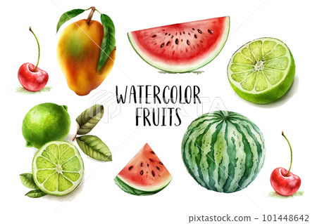Watercolor painted collection of fruits. Hand drawn fresh food design elements isolated on white background. 101448642