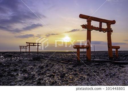 Mysterious scenery of the Ariake Sea Underwater Torii of Oo Shrine (Saga Prefecture) 101448801