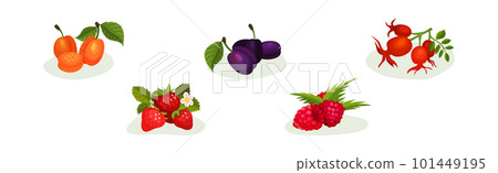Ripe and Juicy Berries with Green Leaves Vector Set Ripe and Juicy Berries with Green Leaves Vector Set 101449195