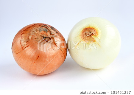 洋蔥（Sara Tama-chan） 101451257