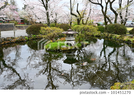 Kagami Pond of Spring World Heritage Mt.Fuji Hongu Sengen Taisha Shrine 101451270