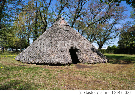 A restored thatched pit dwelling A restored thatched pit dwelling 101451385