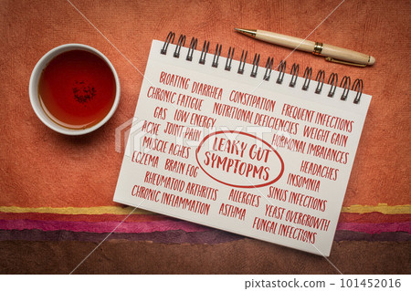 leaky gut symptoms - word cloud in a spiral notebook, digestive health concept 101452016