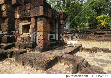 泰國高棉遺址和狗 101452313