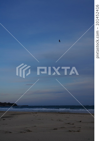 Various traces on the beach 101452416