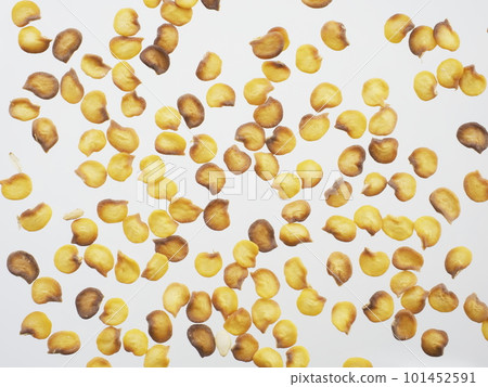 辣椒籽質地 101452591