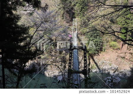 國家級名勝天龍峽吊橋辻橋, 國家級名勝天龍峽吊橋辻橋, 101452924