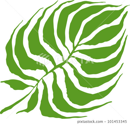 Hand Drawn Brush Artwork Tropical Leaf 101453345