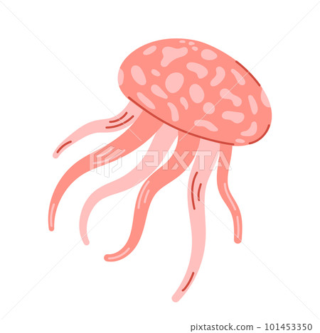 Pink medusa isolated on white background. Marine jellyfish with tentacles, aquatic underwater creature. Modern hand drawn flat illustration. Pink medusa isolated on white background. Marine jellyfish with tentacles, aquatic underwater creature. Modern hand drawn flat illustration. 101453350