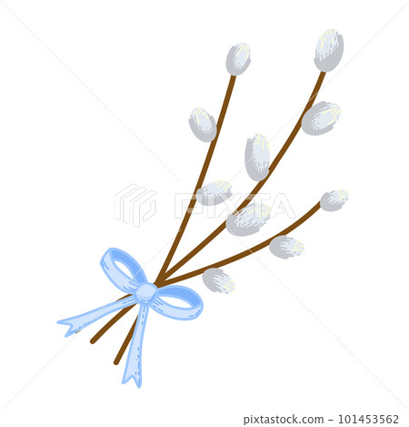 cut willow twigs with a blue bow cut willow twigs with a blue bow 101453562