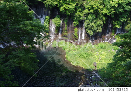 Shizuoka Fujinomiya city sightseeing spot Shiraito Falls and rainbow scenery 101453815