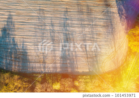 Rural spring field and Trees on border landscape. Sunny sunshine Day. Long Woods Shadows . Aerial View Amazing country Landscape Scenic View Of Park Woods. Nature Elevated Flat View. tractor trails 101453971
