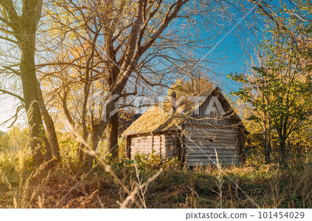 Old Wooden Bathhouse In Autumn Forest. Concept Of A Healthy Lifestyle. Relaxation And Rest. Traditional Steam Sauna Banya. Rest And Health In Nature. Copy Space For Banner. Wooden Bathhouse Background 101454029