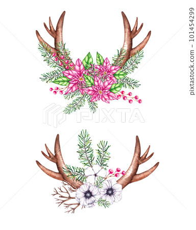 Watercolor set of Christmas horns with needles and flowers on a white background Watercolor set of Christmas horns with needles and flowers on a white background 101454299