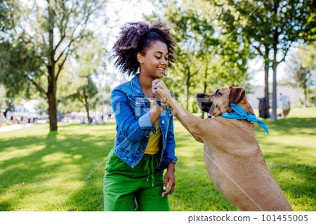 Multiracial girl training her dog outdoor in a city park. Concept of relationship between dog and teenager, everyday life with pet. Multiracial girl training her dog outdoor in a city park. Concept of relationship between dog and teenager, everyday life with pet. 101455005