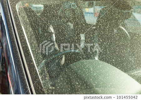 Yellow adhering to passenger cars Yellow adhering to passenger cars 101455042