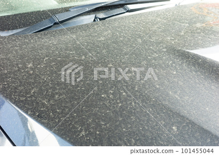 Yellow adhering to passenger cars 101455044