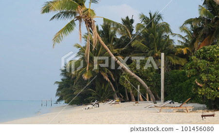 Beautiful beach on Thoddoo tropical island early in the morning, Maldives. Summer vacation and world travel concept 101456080