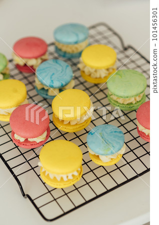 traditional french colorful macarons in a rows on a metal mesh 101456301