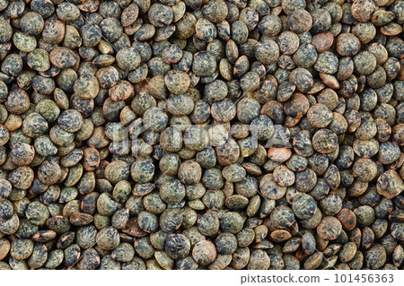 raw french green lentils as a background. Top view. Flat lay 101456363