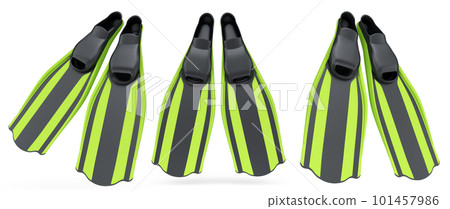 Set of diving flippers for summer holidays and snorkeling on white background. Set of diving flippers for summer holidays and snorkeling on white background. 101457986