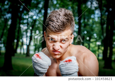 boxer is training boxer is training 101458621