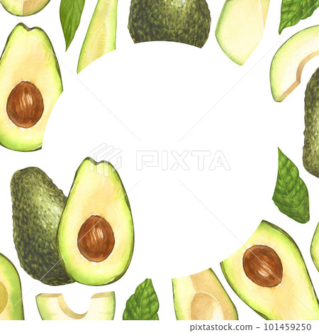 Watercolor frame, ripe avocado and halves avocado. Hand-drawn illustration isolated on white background. Perfect concept food menu, food drawing, design packing, healthy eating 101459250
