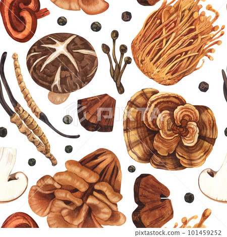 Watercolor seamless pattern medicinal mushroom, adaptogenic plant. Hand-drawn illustration isolated on white background. Perfect concept for healthy chinese medicine popular superfood, design packing. 101459252