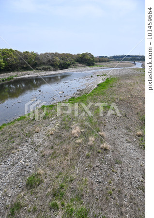 栃木縣大田原市中川河床風景 栃木縣大田原市中川河床風景 101459664