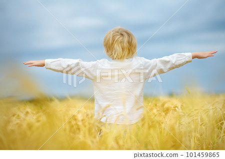Pray for Ukraine. Child is on the background of bly sky and yellow wheat field. Background have colors of the Ukrainian flag. Concepts of peace and independence. 101459865