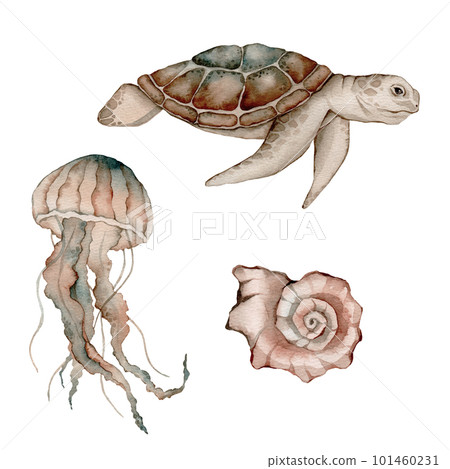 Set of sea animals poster. Blue, greeen, brown watercolor ocean jellyfish, medusa, turtle . Nautical wildlife marine illustration 101460231