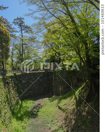 Okazaki Castle Seikaibori 101460633