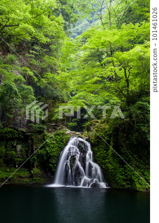 “Akame Shijuhachi Waterfall” surrounded by fresh green [Senju Falls] 101461026