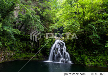 被新綠環繞的“赤目十四八瀑布”【千住瀑布】 被新綠環繞的“赤目十四八瀑布”【千住瀑布】 101461028