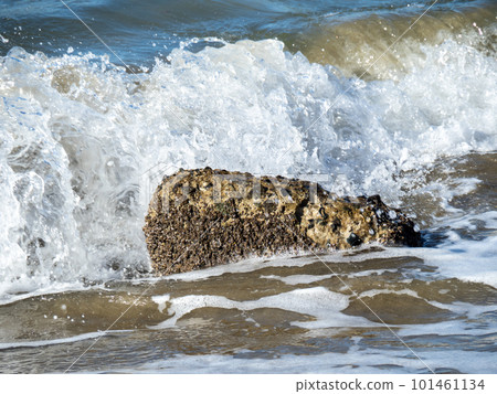 海浪拍岸。 101461134