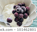 Blueberry and yogurt 101462801
