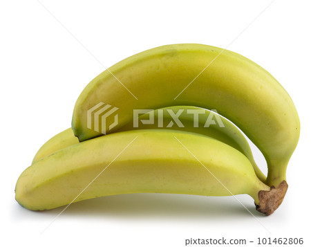 Cavendish Banana on white background. 101462806