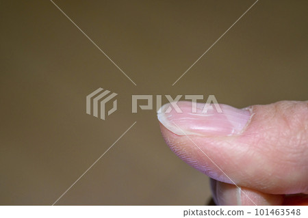 瓦楞釘（搓板釘） 101463548