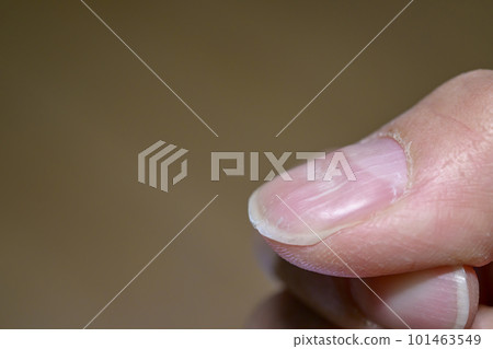 瓦楞釘（搓板釘） 101463549