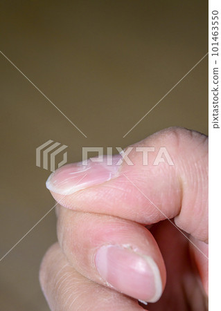 瓦楞釘（搓板釘） 101463550