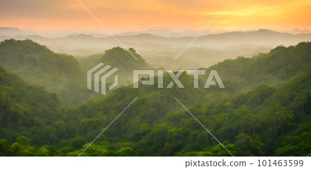 Tropical landscape at sunset 101463599