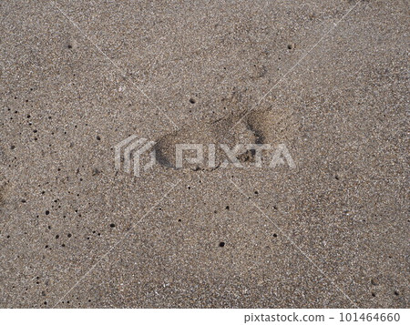 Footsteps on the beach 101464660