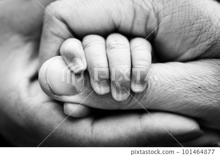 Close-up of the small hand of the child and the hand of the mother and father. A newborn baby after birth clings tightly to the finger of its parents. Black and white professional studio macro photo Close-up of the small hand of the child and the hand of the mother and father. A newborn baby after birth clings tightly to the finger of its parents. Black and white professional studio macro photo 101464877