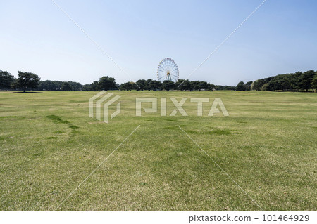 Spring National Hitachi Seaside Park Park Square Prairie Hitachinaka City, Ibaraki Prefecture 101464929