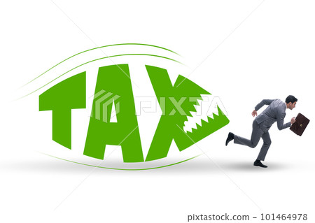 Concept of the tax burden Concept of the tax burden 101464978